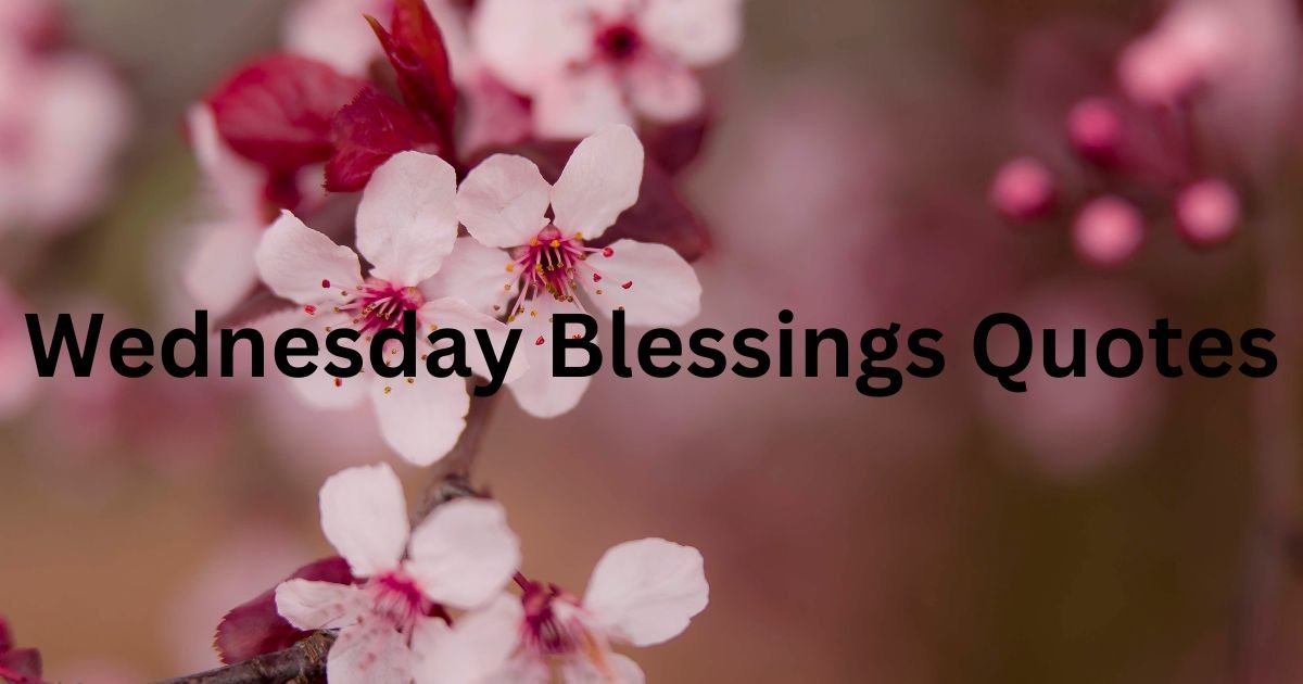 Wednesday Blessings Quotes