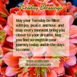 Tuesday blessings with beautiful red flowers quotes