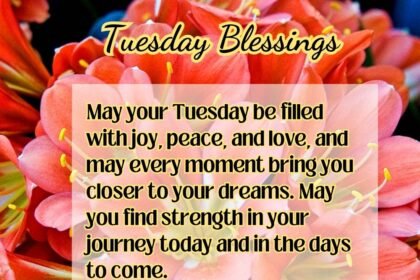 Tuesday blessings with beautiful red flowers quotes