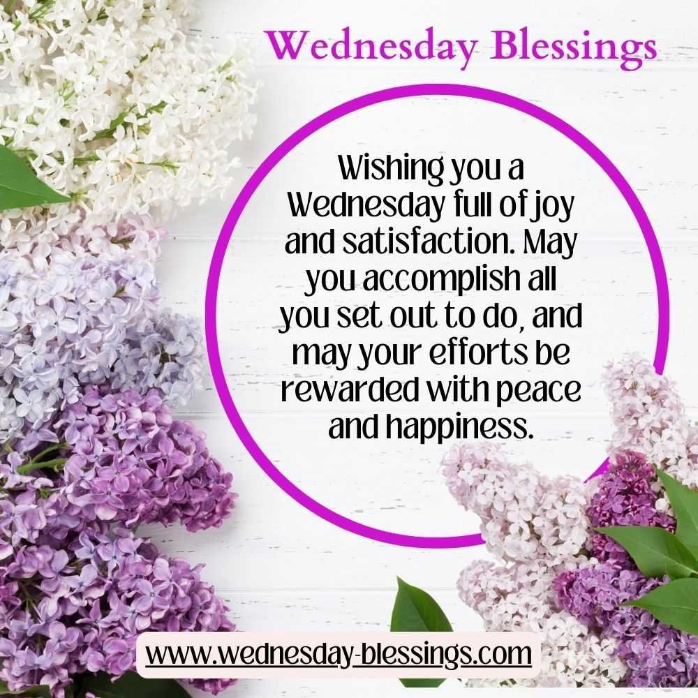 beautiful wednesday blessings with purple blooming flowers of love